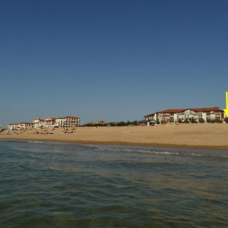 La Dune D'Or - Vue Mer, Studio Face A La Plage Avec Terrasse ソール・オスゴール エクステリア 写真